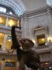 Natural History Museum Lobby